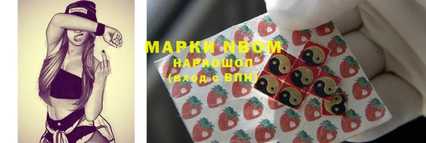 гидра Белокуриха