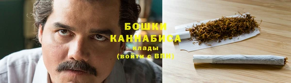 гидра Белокуриха