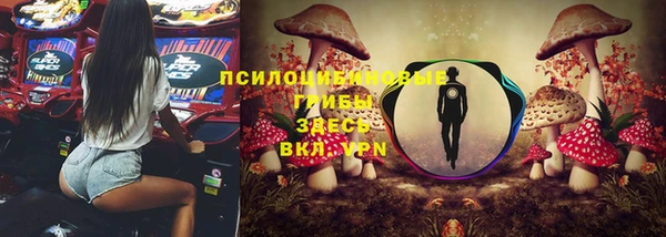 гидра Белокуриха