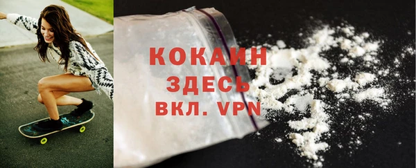 гидра Белокуриха