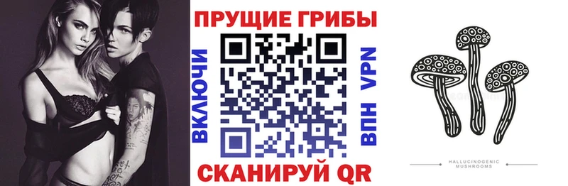 Галлюциногенные грибы Psilocybe  Купить  Сафоново 